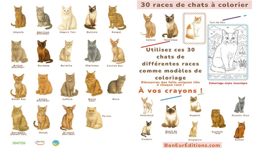 Carnet de coloriage – Chats style classique | BonEür Éditions